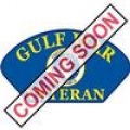 PATCH-GULF WAR, HAT, USAF (DEST) (3"X5-1/4") PATCH-GULF WAR, HAT, USAF (DEST) (3"X5-1/4")